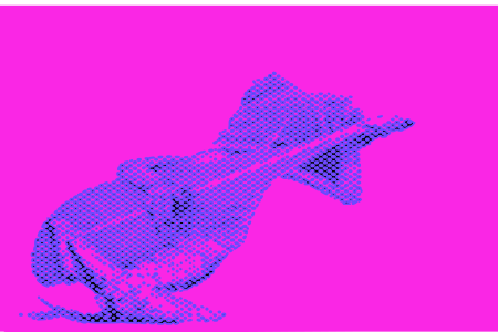 Bilansite300x450